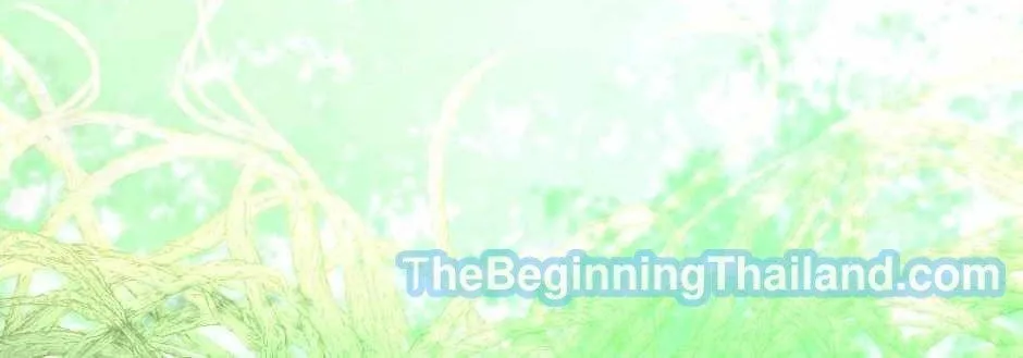 The Beginning After the End - หน้า 81