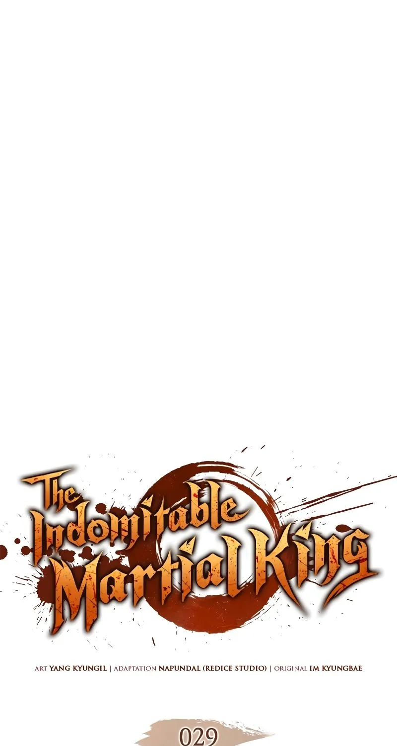 The Indomitable Martial King - หน้า 13