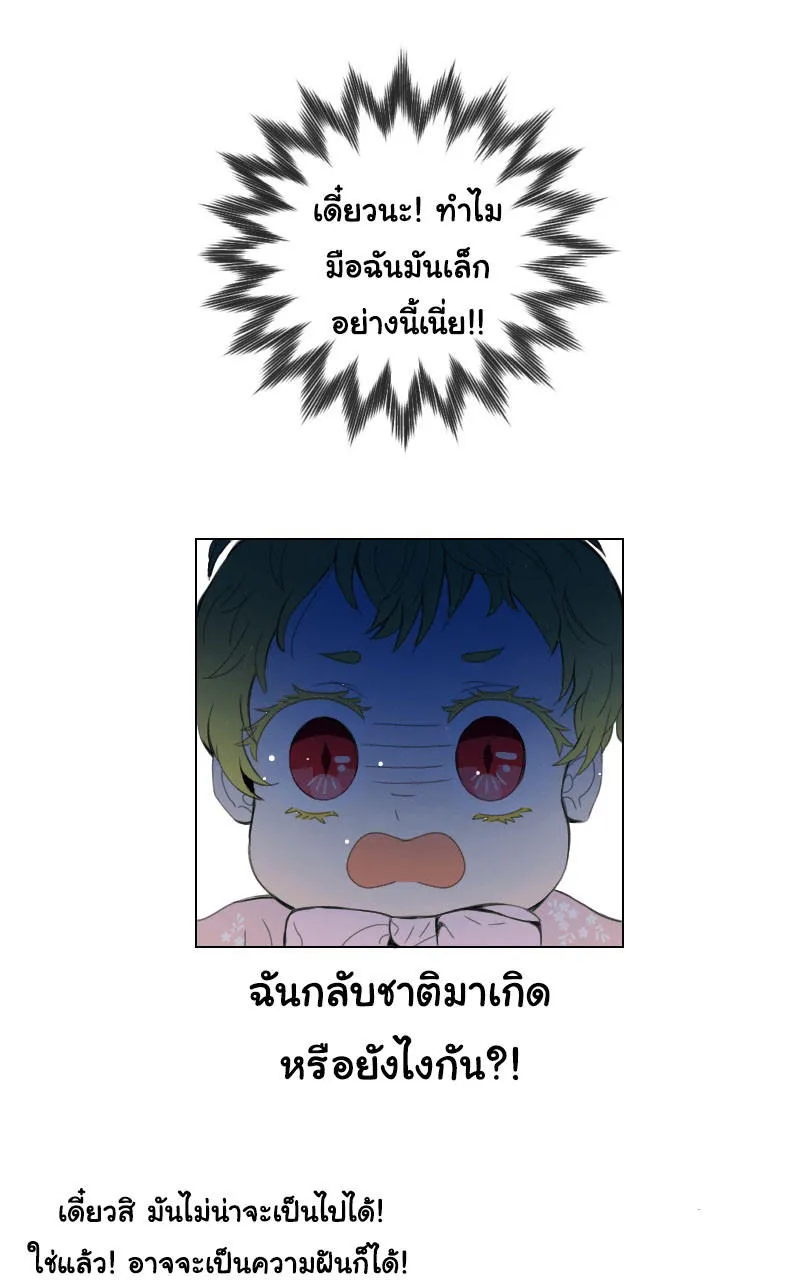 The Nonexistent Princess - หน้า 12