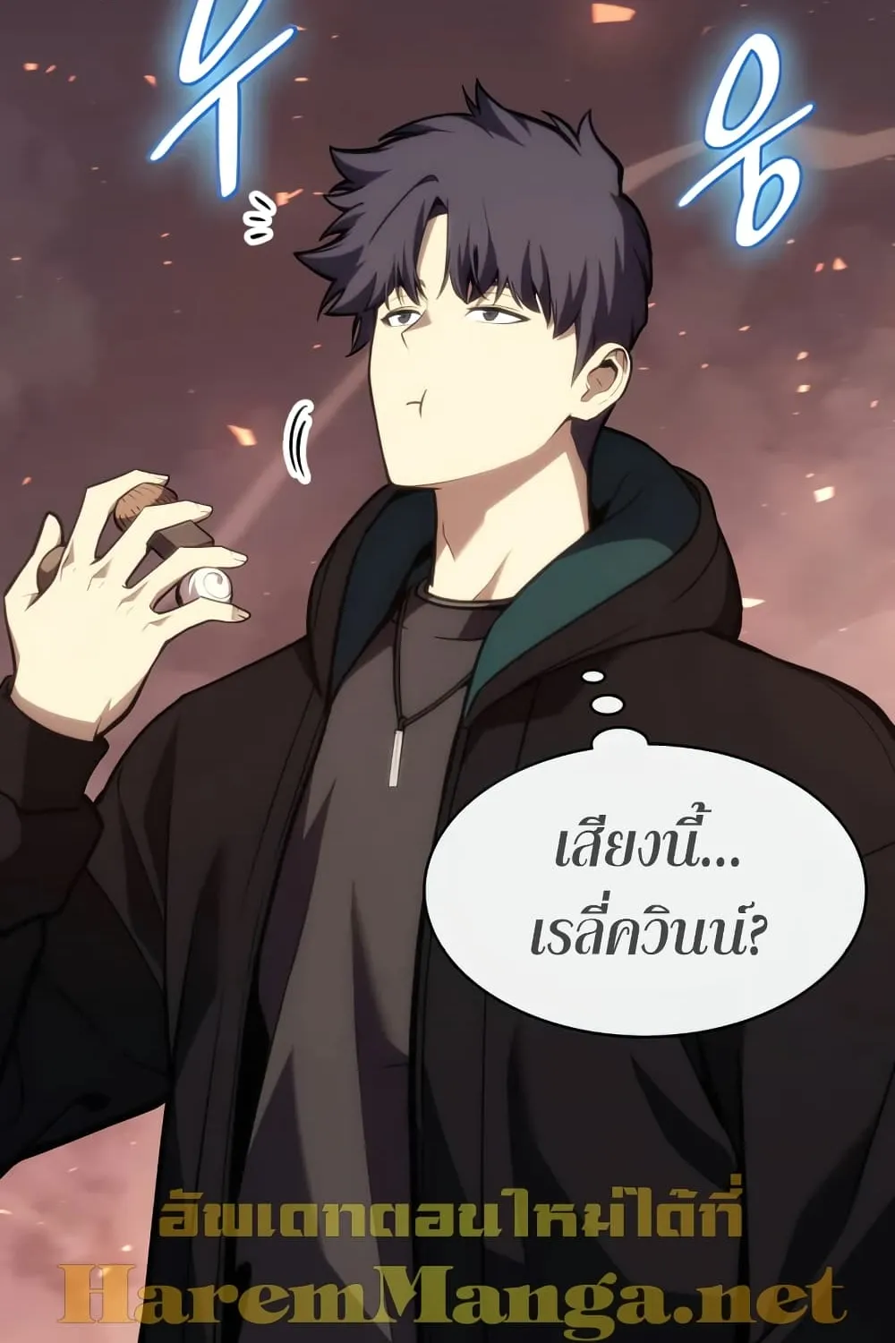 The Return of The Disaster-Class Hero - หน้า 14