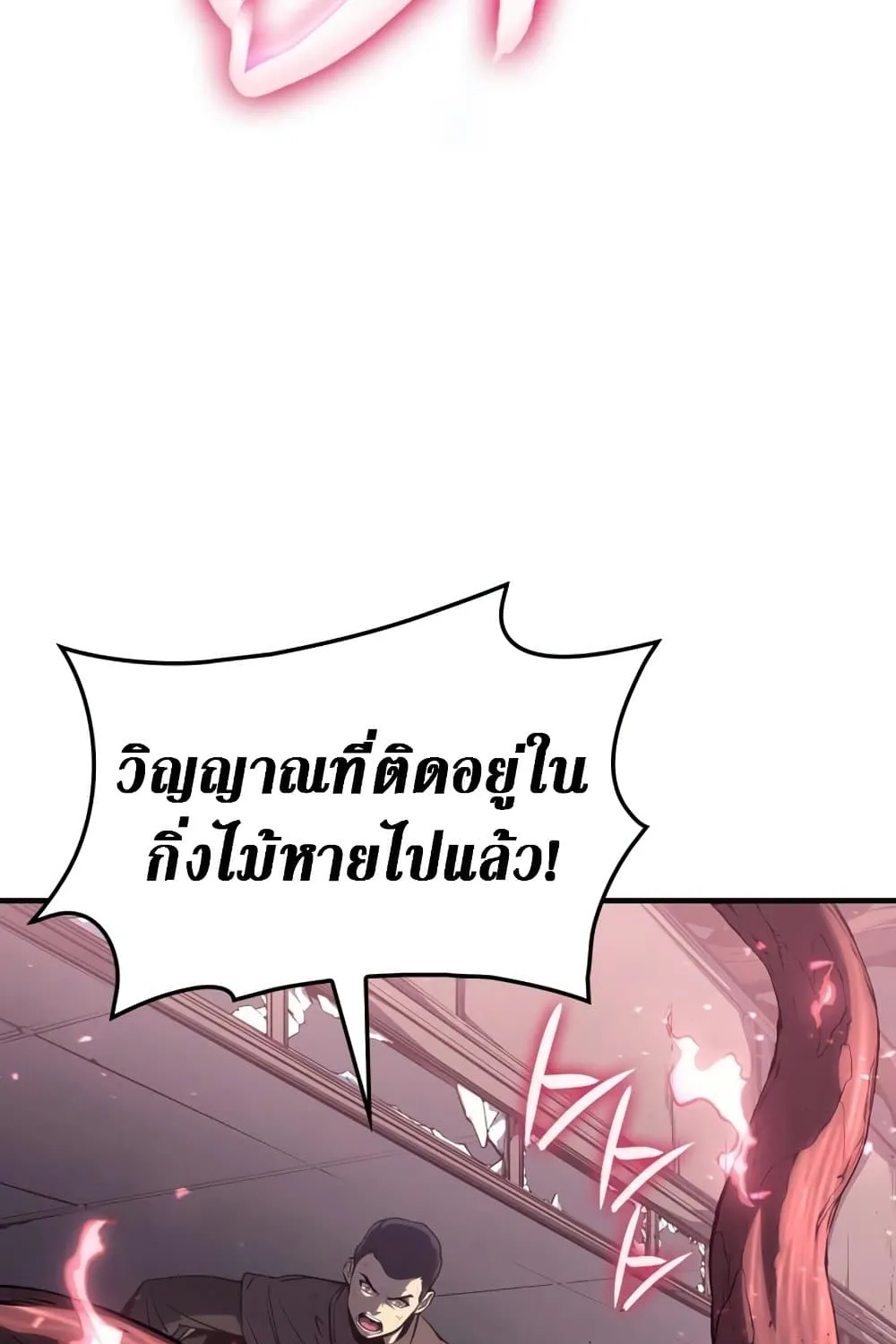 The Return of The Disaster-Class Hero - หน้า 11