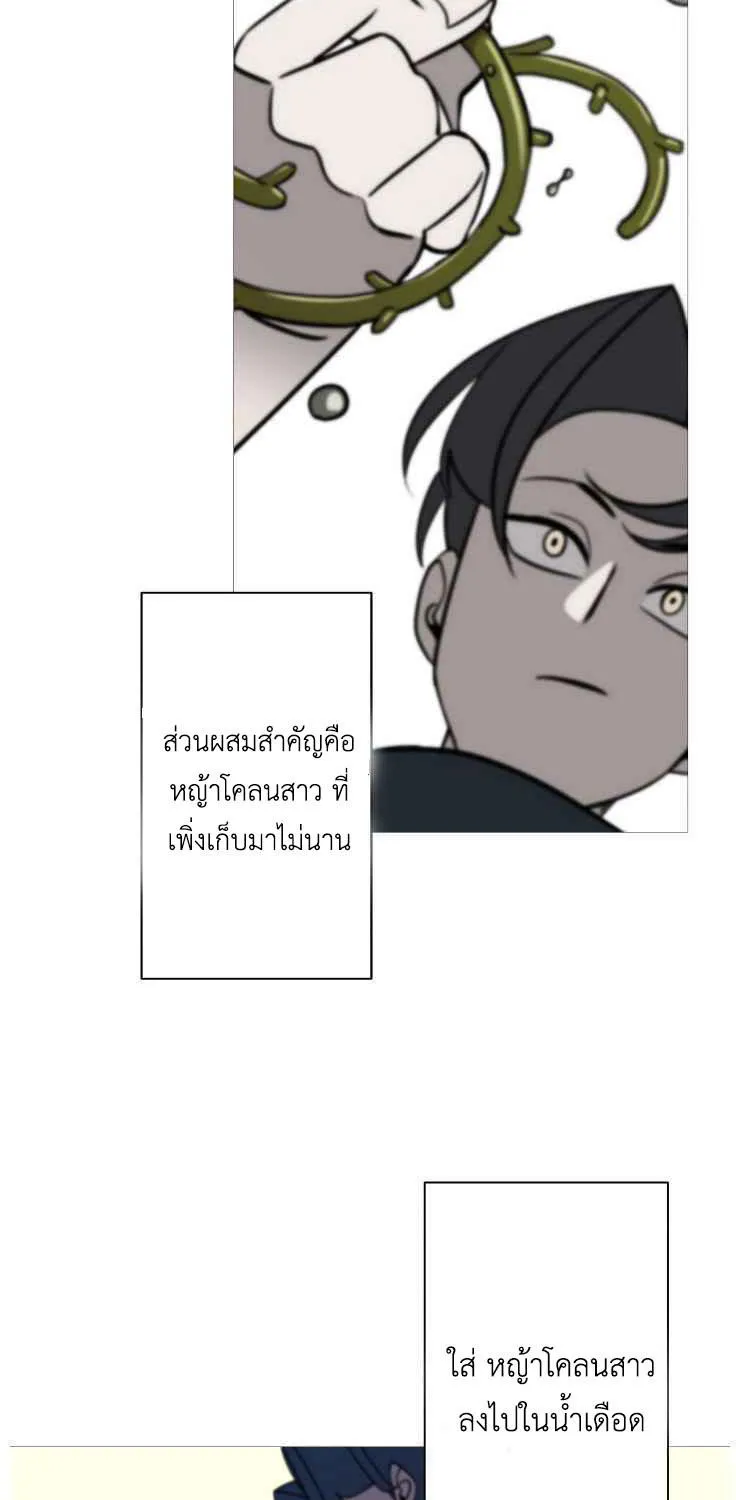 The Story of a Low-Rank - หน้า 24