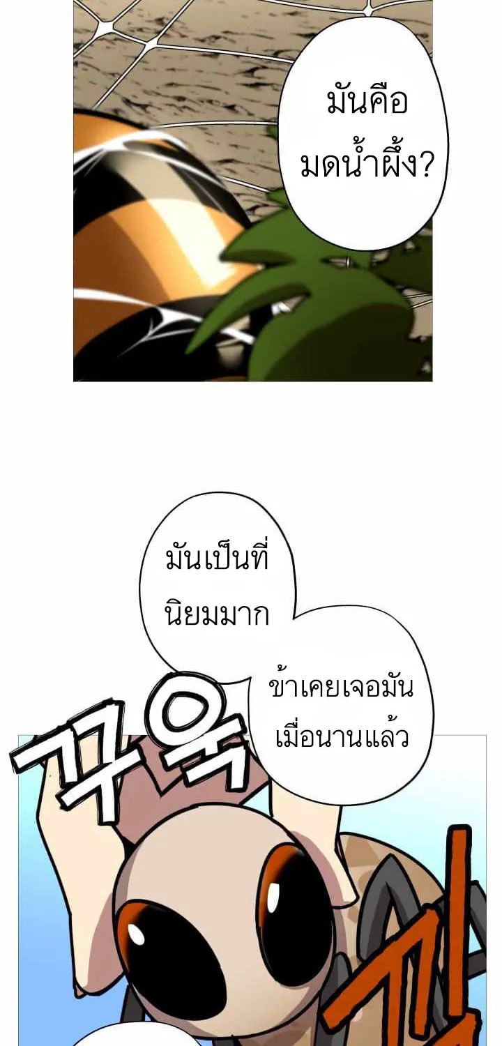 The Story of a Low-Rank - หน้า 44