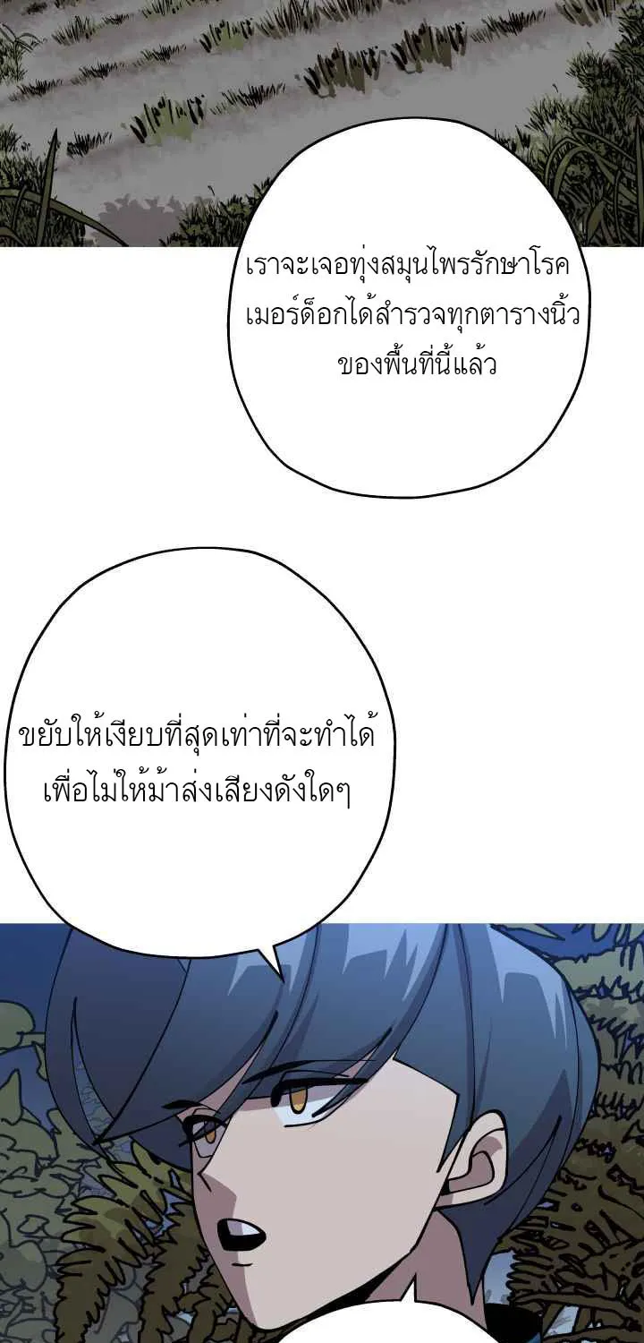 The Story of a Low-Rank - หน้า 34