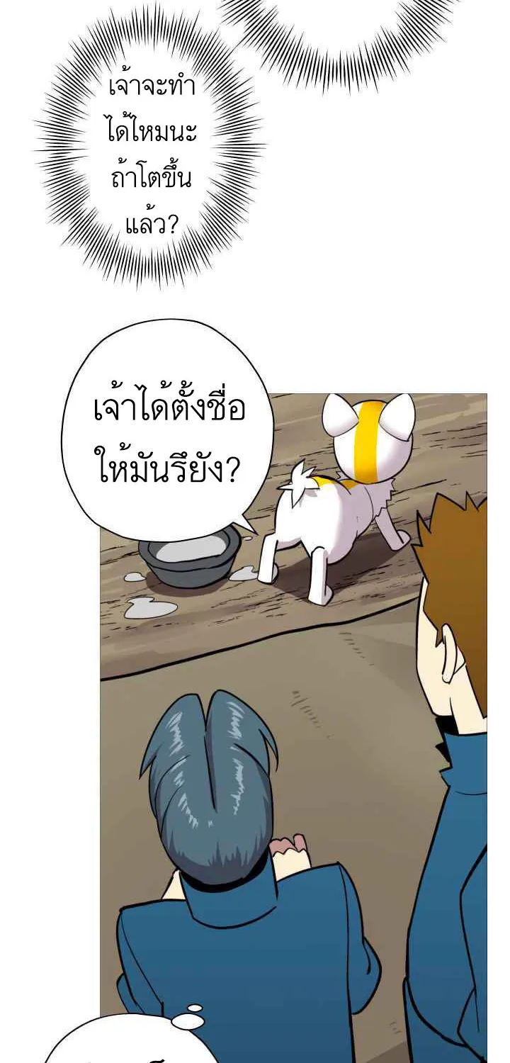 The Story of a Low-Rank - หน้า 38