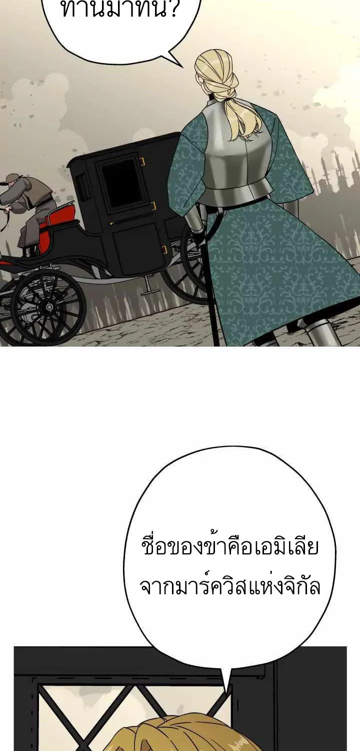 The Story of a Low-Rank - หน้า 66