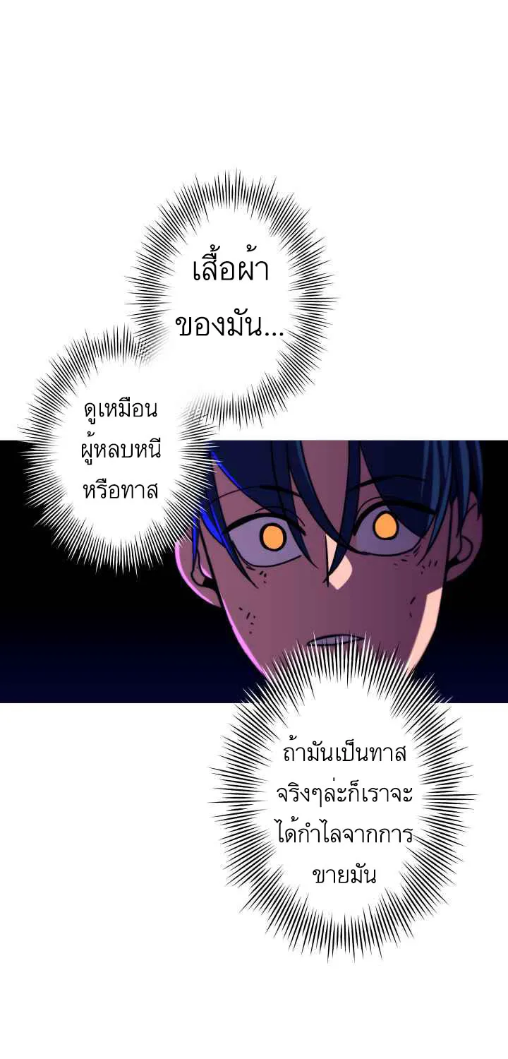 The Story of a Low-Rank - หน้า 38