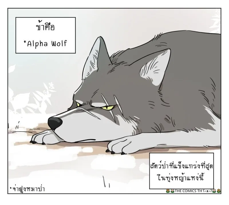 The wolf that picked something up – ปะป๋าหมาป่ากับลูกหมาของเขา - หน้า 1