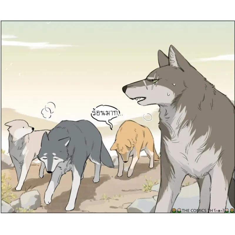 The wolf that picked something up – ปะป๋าหมาป่ากับลูกหมาของเขา - หน้า 2