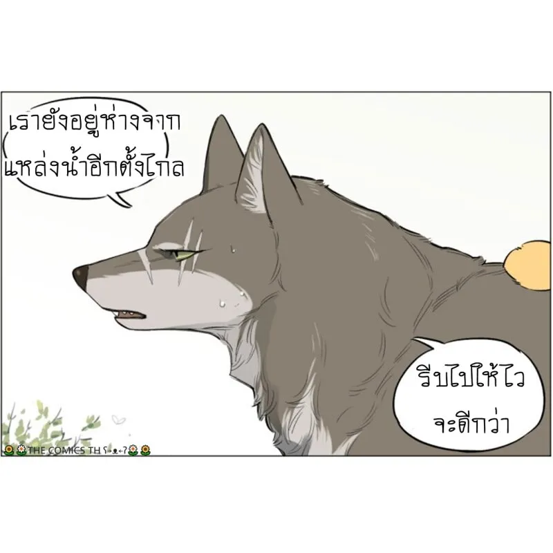 The wolf that picked something up – ปะป๋าหมาป่ากับลูกหมาของเขา - หน้า 4