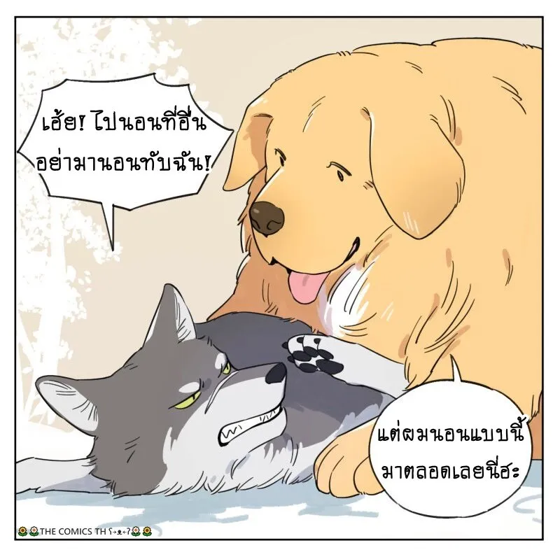 The wolf that picked something up – ปะป๋าหมาป่ากับลูกหมาของเขา - หน้า 3