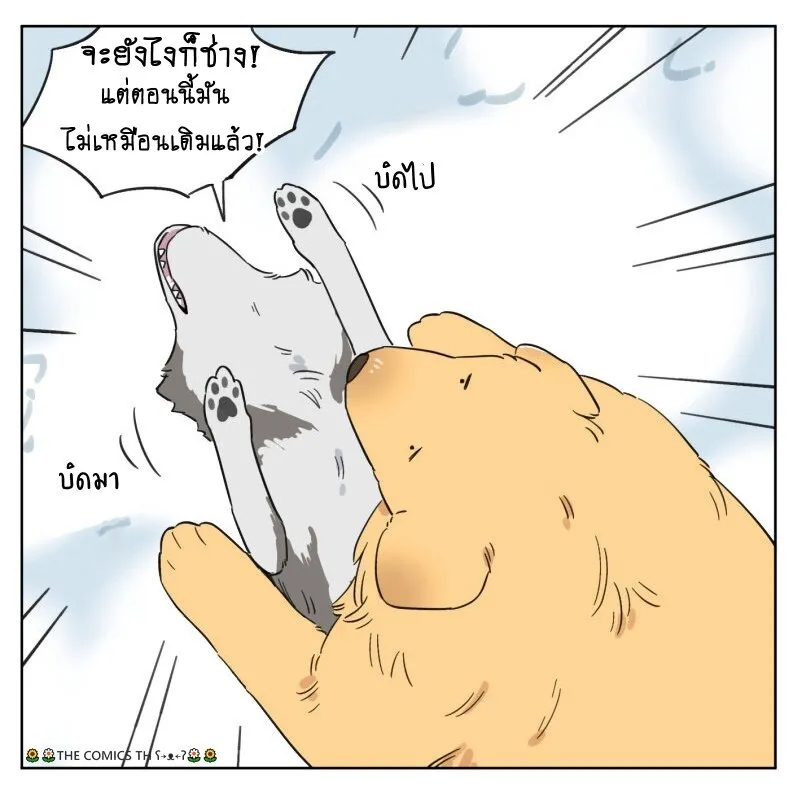 The wolf that picked something up – ปะป๋าหมาป่ากับลูกหมาของเขา - หน้า 4