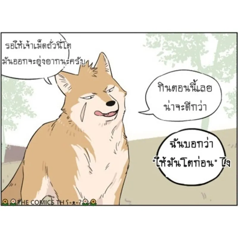 The wolf that picked something up – ปะป๋าหมาป่ากับลูกหมาของเขา - หน้า 17