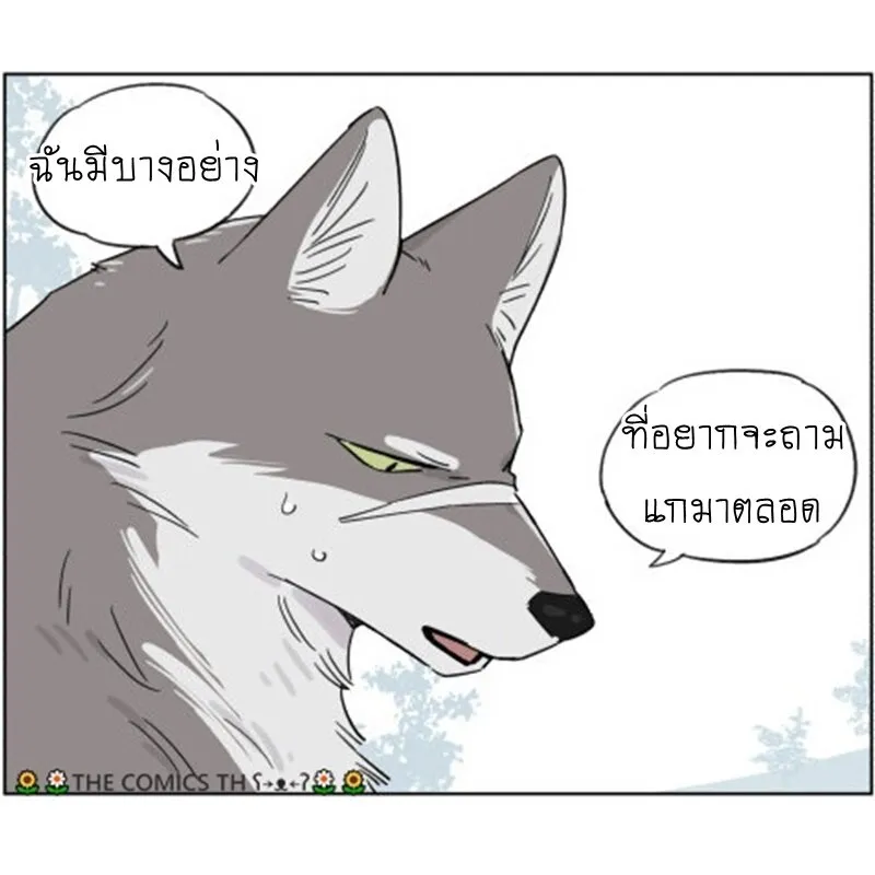 The wolf that picked something up – ปะป๋าหมาป่ากับลูกหมาของเขา - หน้า 1