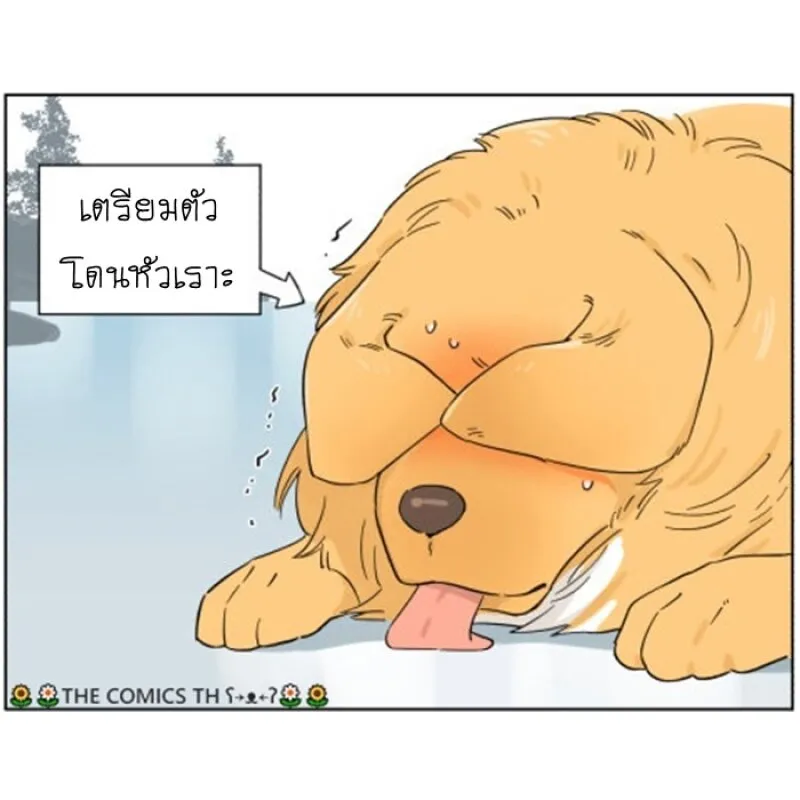 The wolf that picked something up – ปะป๋าหมาป่ากับลูกหมาของเขา - หน้า 5