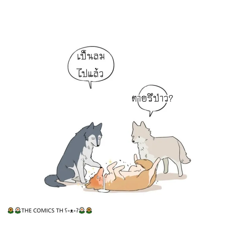 The wolf that picked something up – ปะป๋าหมาป่ากับลูกหมาของเขา - หน้า 18