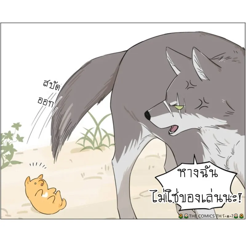 The wolf that picked something up – ปะป๋าหมาป่ากับลูกหมาของเขา - หน้า 6