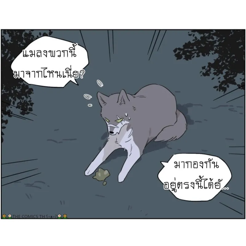 The wolf that picked something up – ปะป๋าหมาป่ากับลูกหมาของเขา - หน้า 10