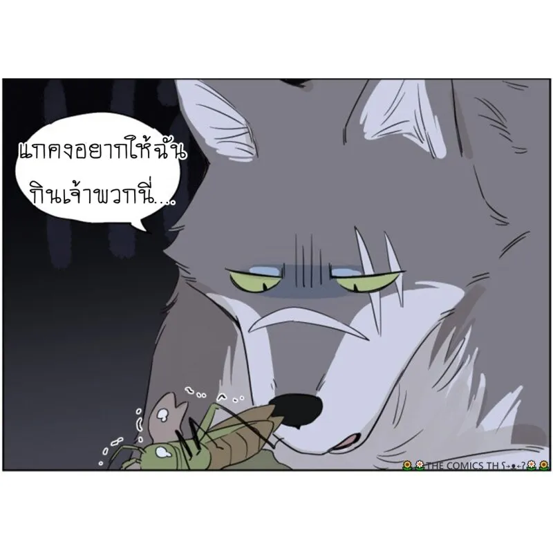 The wolf that picked something up – ปะป๋าหมาป่ากับลูกหมาของเขา - หน้า 13