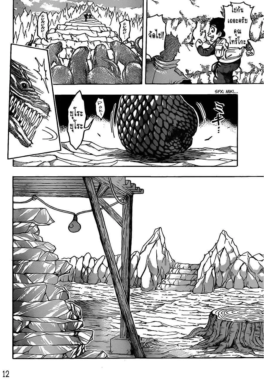 Toriko - หน้า 11