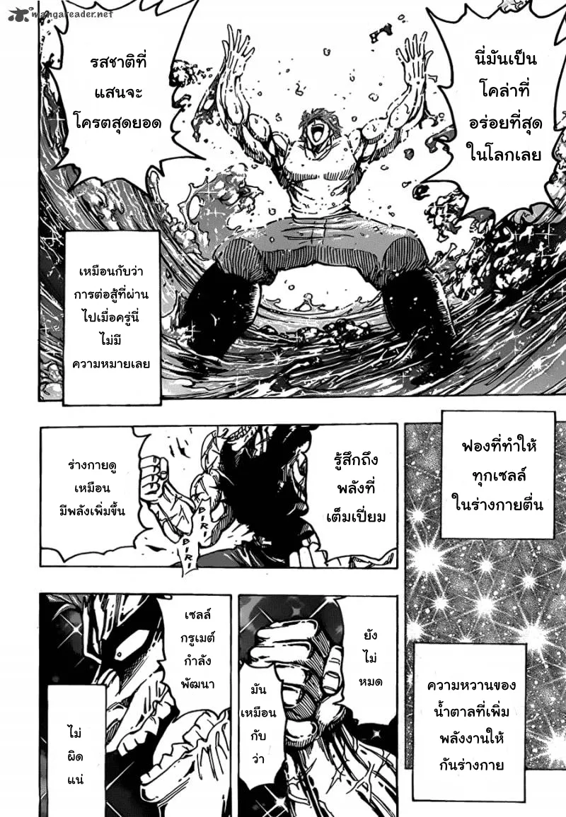 Toriko - หน้า 17