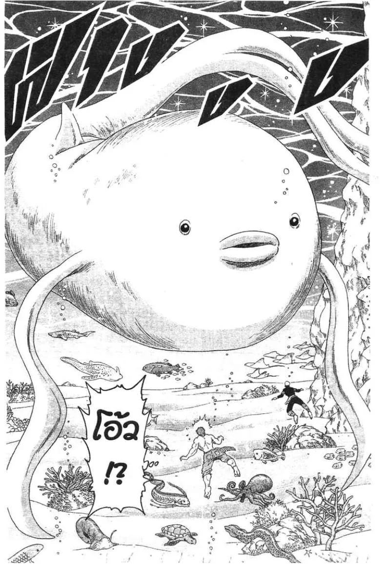 Toriko - หน้า 13