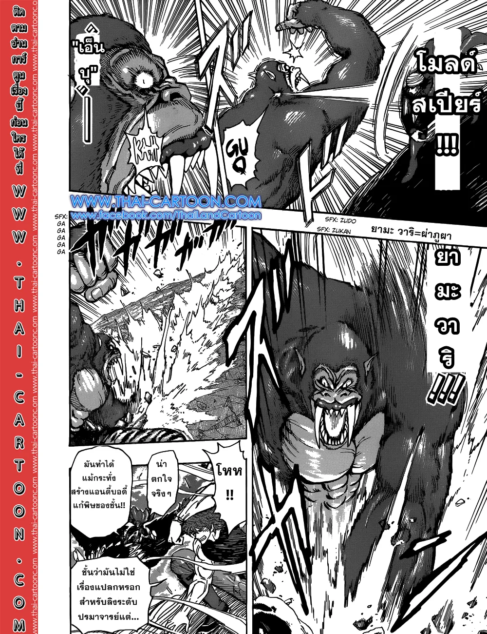 Toriko - หน้า 13