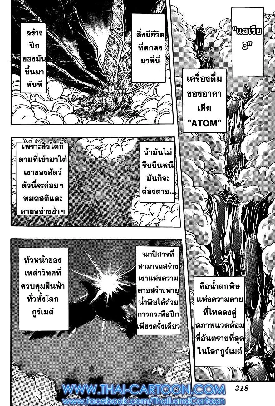 Toriko - หน้า 13