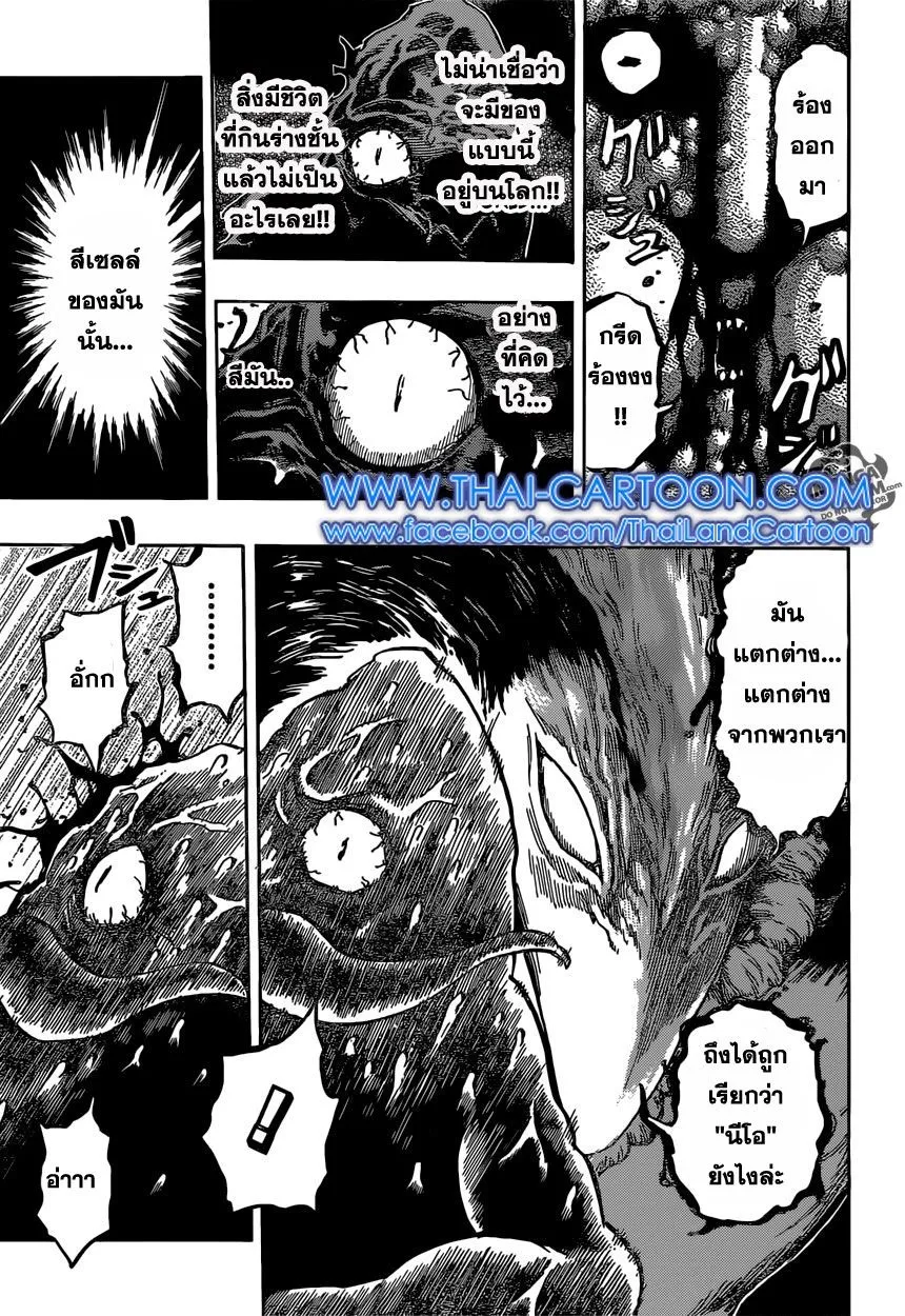 Toriko - หน้า 13