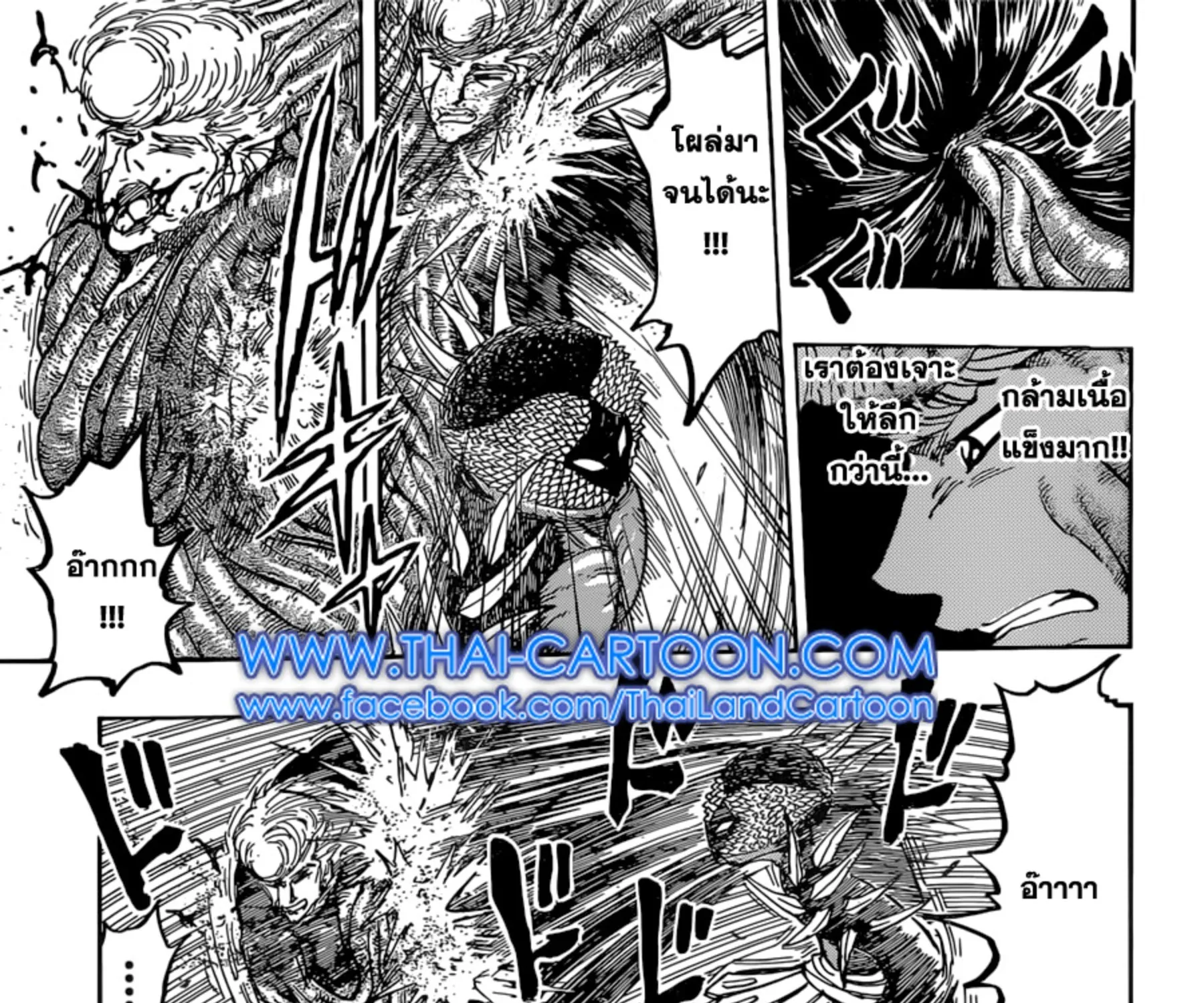 Toriko - หน้า 16