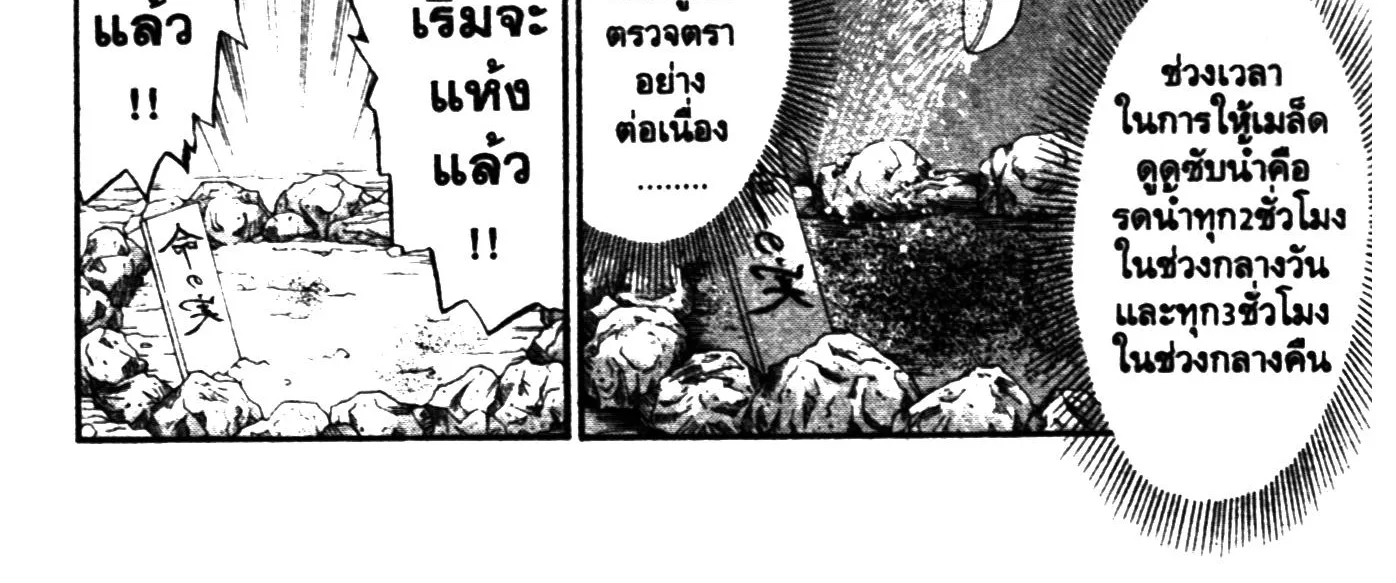 Touyou Youjinden Youjinbou ซ…เซียนสุดแสบ โยจินโบ - หน้า 17