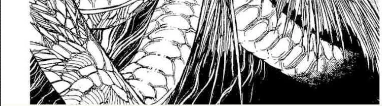 Ushio to Tora - หน้า 27