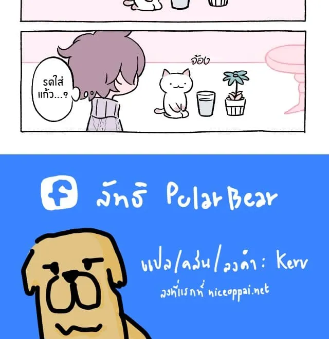 Wonder Cat Kyuu-chan - หน้า 11