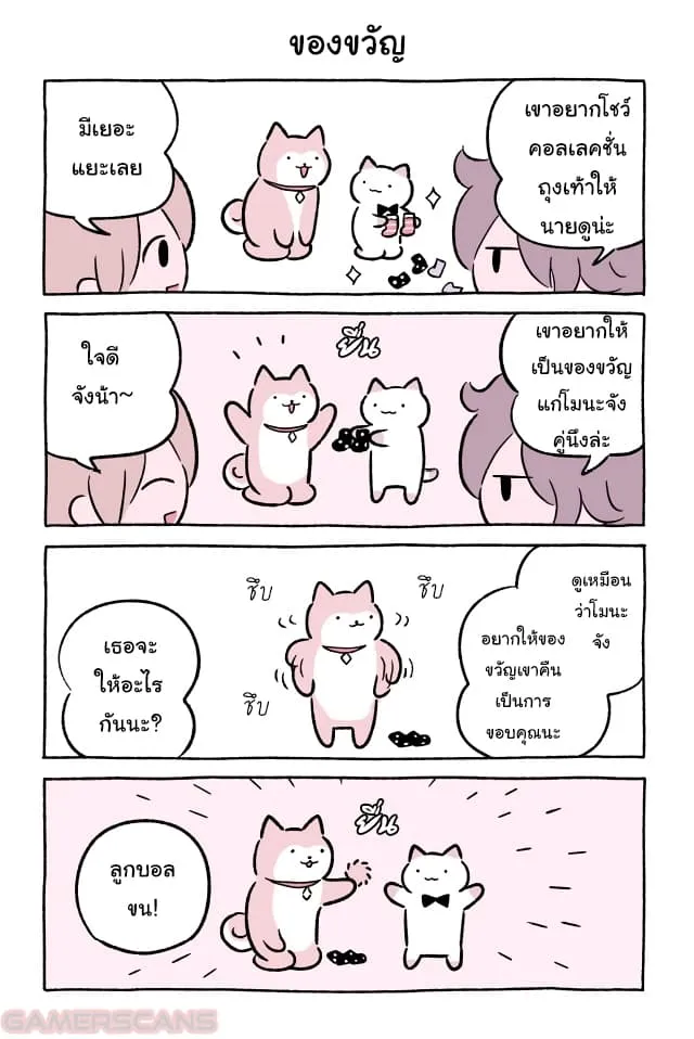 Wonder Cat Kyuu-chan - หน้า 7